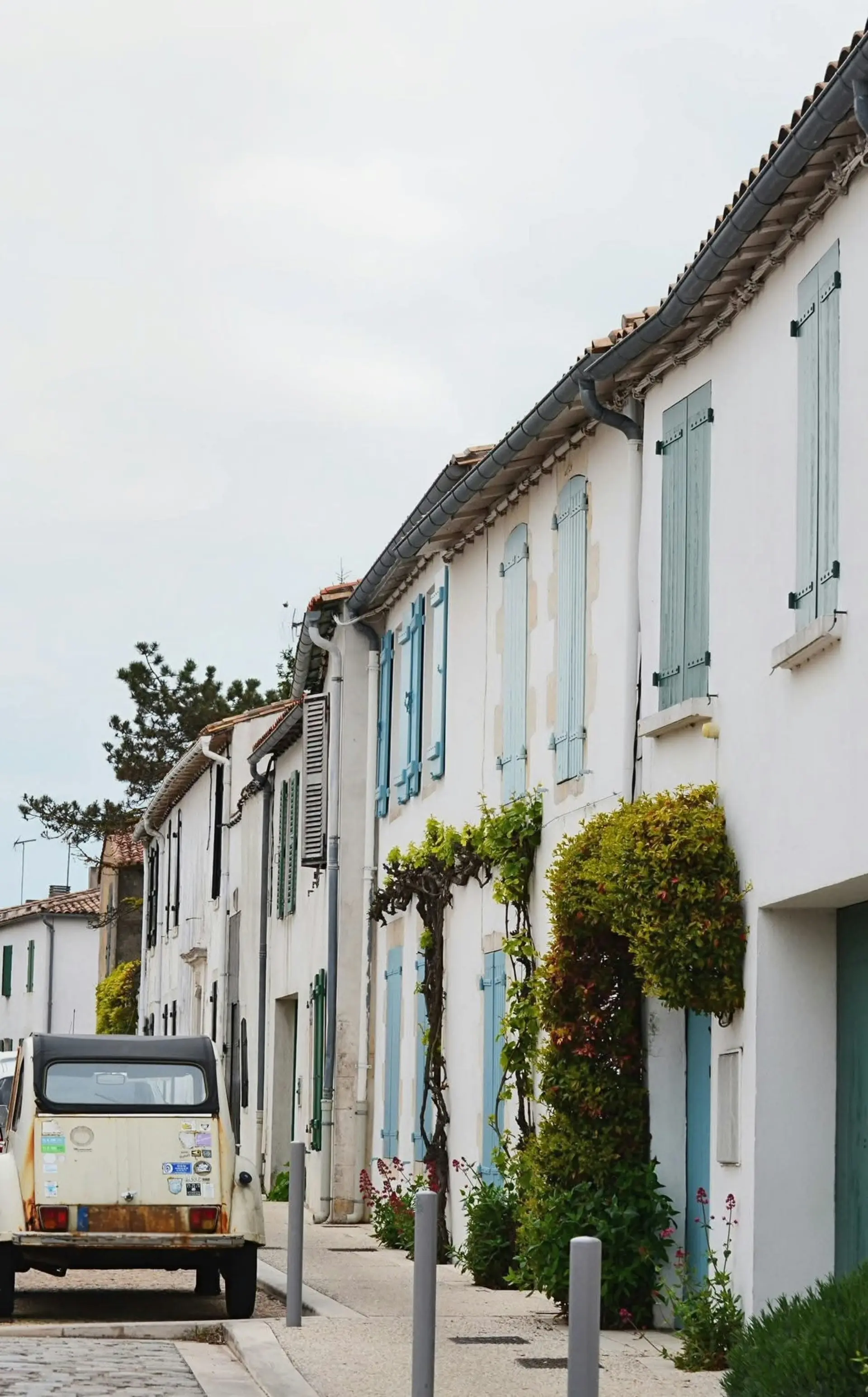 Ruelle aux Portes-en-Ré, Île de Ré